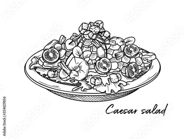 Fototapeta Caesar salad with shrimp isolated on a white background. Sketch Italian dishes. Vector illustration