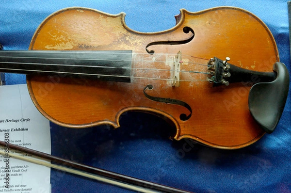 Obraz Fiddle