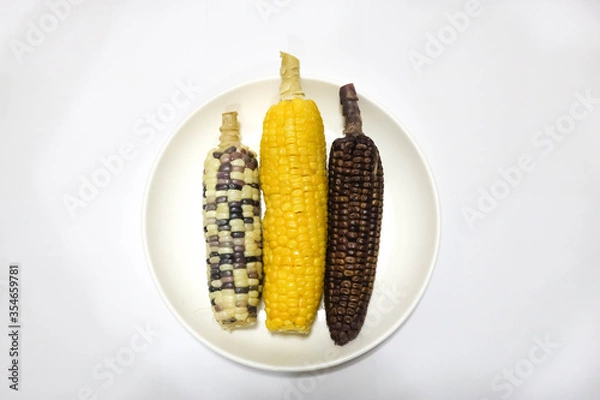 Fototapeta Cob of corn in various color such as yellow corn, purple corn and mixed color corn in the white background