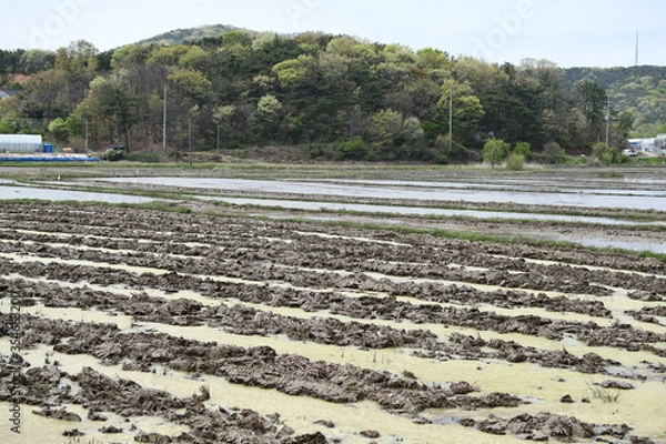 Fototapeta Farming