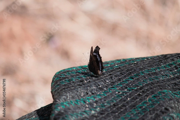 Fototapeta 풍경, 사진, 달, 도로,