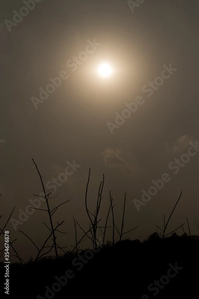 Fototapeta 풍경, 사진, 달, 도로,