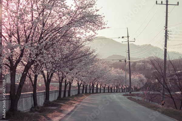 Fototapeta 풍경, 사진, 달, 도로,