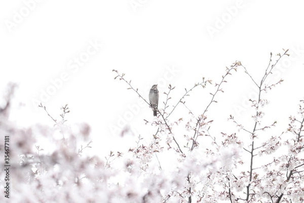 Fototapeta 풍경, 사진, 달, 도로,