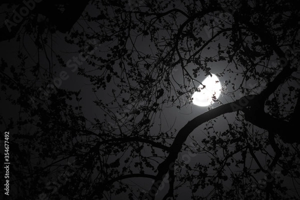 Obraz 풍경, 사진, 달, 도로,