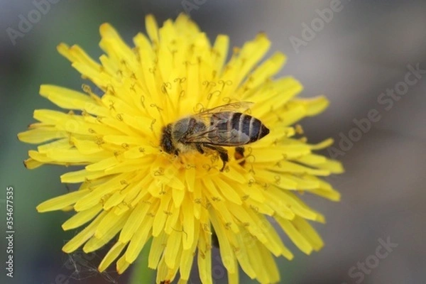 Fototapeta 풍경, 사진, 달, 도로,