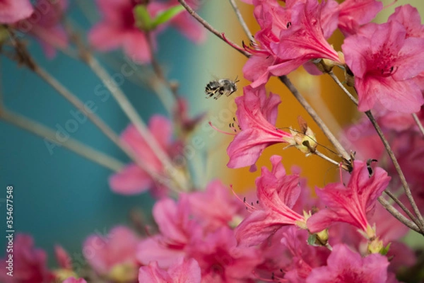 Obraz 풍경, 사진, 달, 도로,