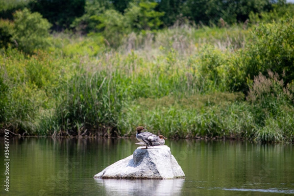 Fototapeta 풍경, 사진, 달, 도로,