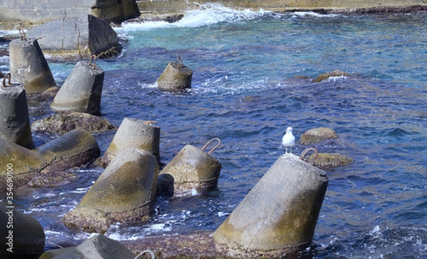 Obraz Marine concrete breakwaters