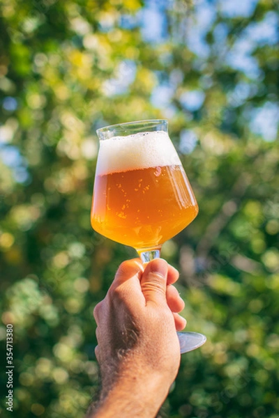 Obraz Delicious homebrewed beer, diffferent styles and rich taste