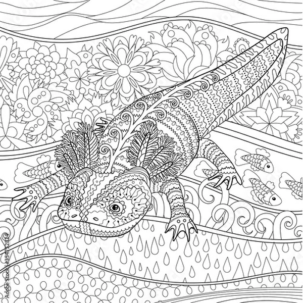 Fototapeta Coloring page for adults with axolotl and complex background in zentangle style 