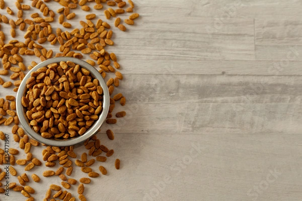 Fototapeta bowl with pet food close-up top view, free space for text, wooden background