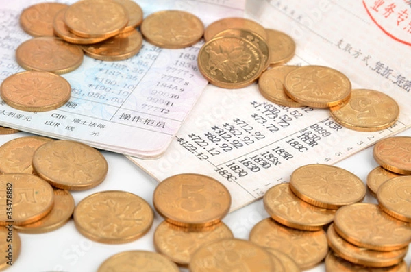 Obraz Passbook and coins