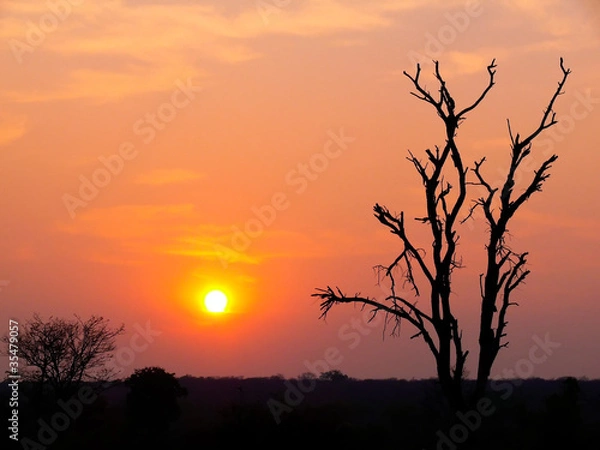 Obraz Sunset on the Zambezi River, Botswana