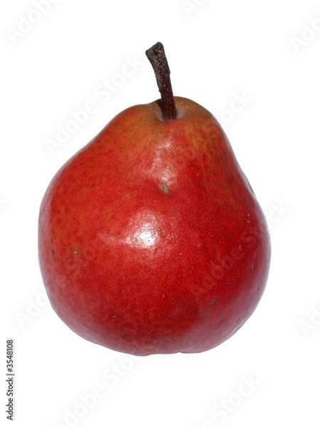Obraz fruit