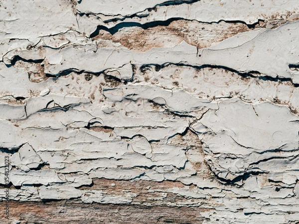 Fototapeta texture of old boards painted with white paint with cracks and scratches