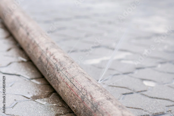 Obraz Leaky fire hose to extinguish fire, water is spilled, a ruptured hose.