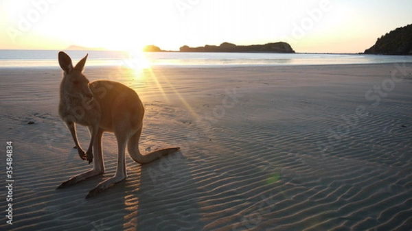 Obraz Dzień dobry Australio