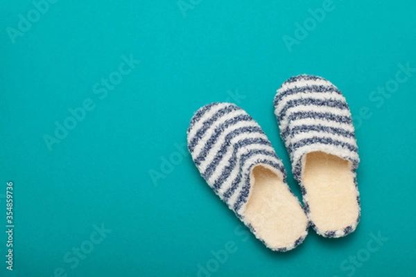 Obraz slippers view of top isolated on color background