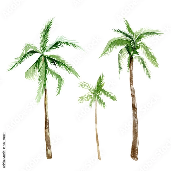 Obraz Watercolor tropical trees, beach party set. Summer palm trees jungle illustration for the banner, frame, border, logo, greeting card, party card, wedding invintation, baby shower card