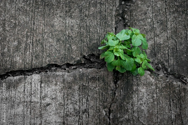 Obraz Turning a crisis into an opportunity.