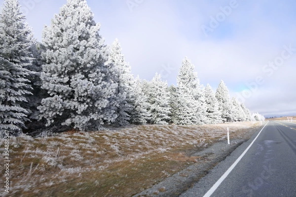 Fototapeta Frosty beautiful autumn morning scenery at the roadside during a trip through New Zealand at lake Tekapo near Mount Cook