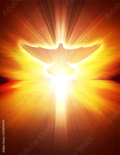 Fototapeta shining dove with rays on a dark