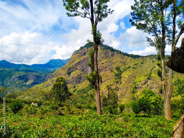 Obraz Ella , Sri Lanka