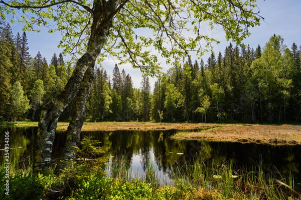 Obraz Triungsvann nature reserve