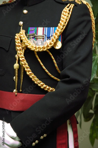 Obraz Officer