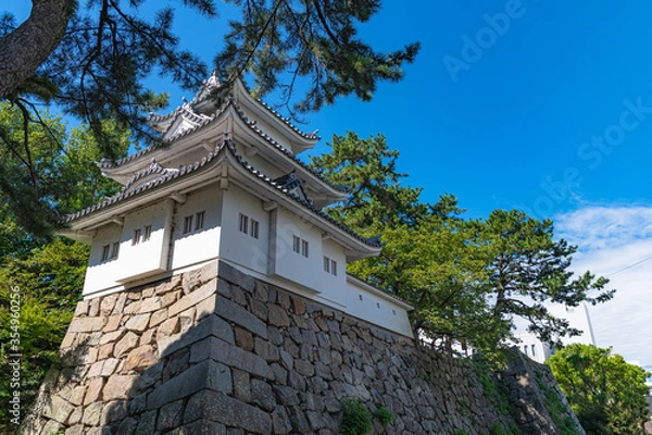 Fototapeta 津城 丑寅櫓