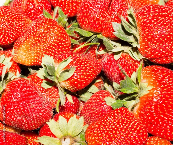 Obraz red ripe strawberries as background