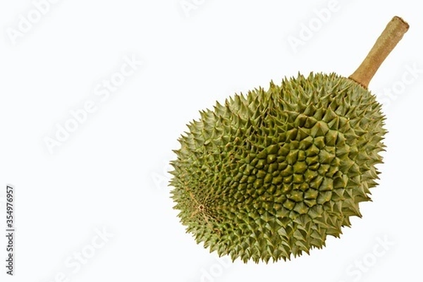 Fototapeta Durian the King of fruits Thailand. Durian tropical fruit on a white background