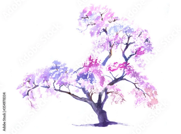 Fototapeta Watercolour sakura blossom pink tree isolated on white