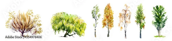 Fototapeta Set of realistic trees illustration isolated on white.Set of realistic trees illustration isolated on white