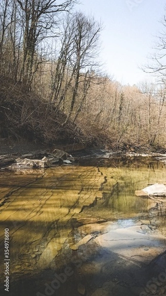 Obraz river in the forest
