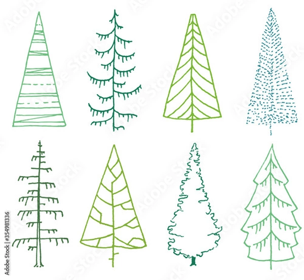 Fototapeta set of stylized fir trees on white. line art spruce trees with minimal design