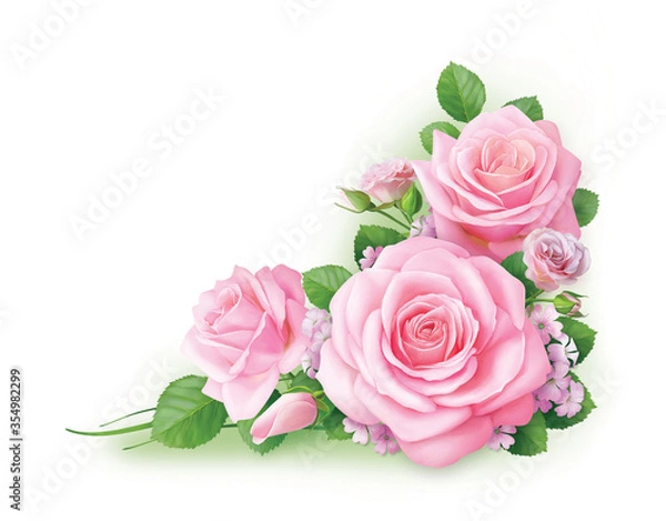 Obraz Beautiful pink roses