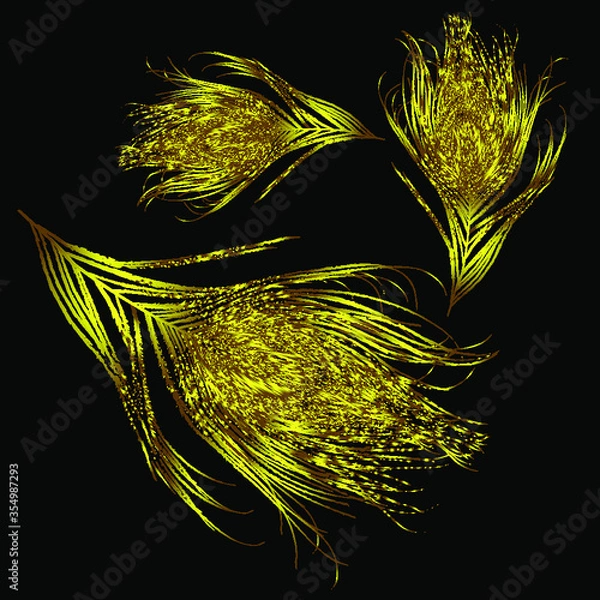 Fototapeta vector image with black background golden feathers fall. eps10. 