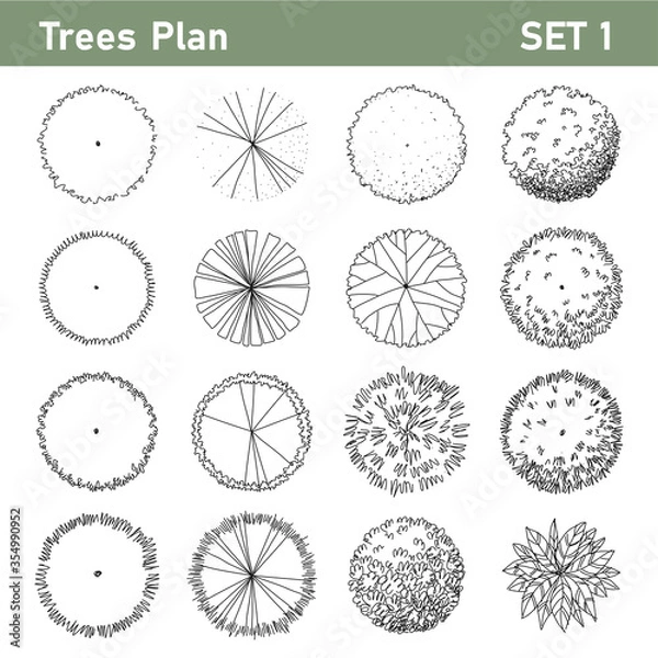 Fototapeta Tree top, tree plan - free hand drawn doodle top view trees for landscape  plan. Can change the stroke line