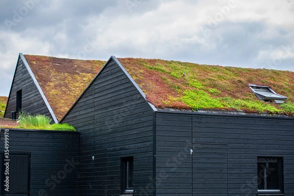 Fototapeta Buildings with a green roof completely covered with vegetation. Extensive green sustainable sedum barn roof with succulent plants. Roof greening with succulents. Skylight in the middle of the roof