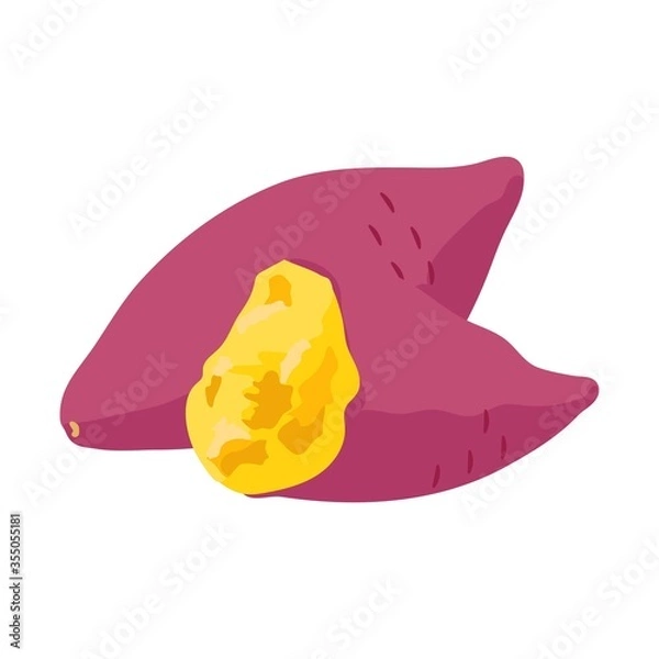 Fototapeta サツマイモのイラスト