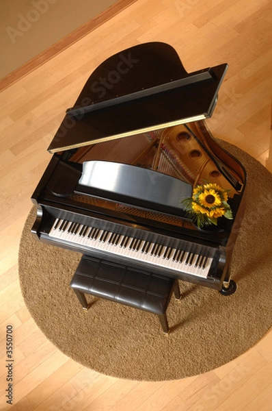 Obraz piano from above
