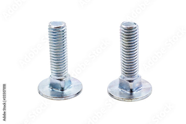 Obraz Two metal screws macro isolated on white background