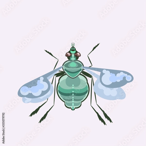 Obraz Fly is a nasty buzzing insect vector illustration.