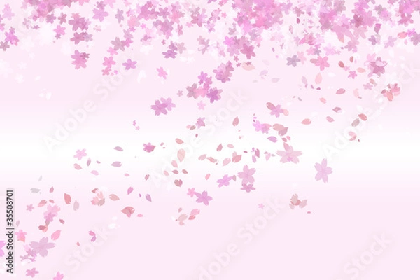 Fototapeta 桜のイメージ