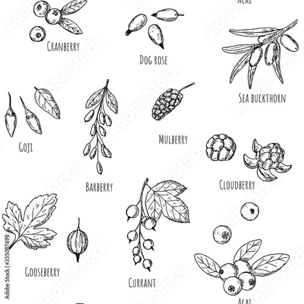 Fototapeta Seamless pattern of berries. Vector cartoon background. Hand-drawn.