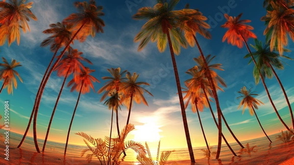 Fototapeta 水平線