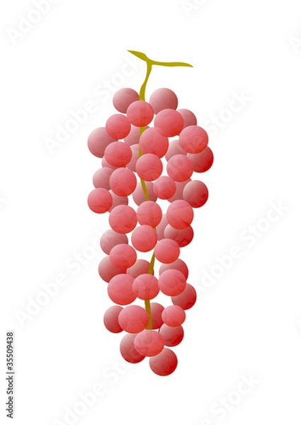 Obraz ぶどう