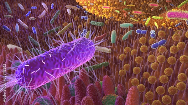 Fototapeta Darmflora_III_UHD